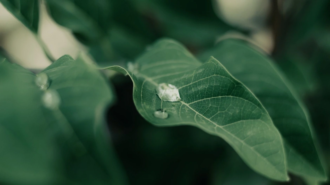 站直接打开的软件提升工作效率的利器